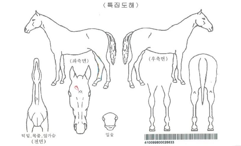 Ƽ��帮���ڸ��� ����,���,�޸�,�λ�,�ٸ��� Ư¡����