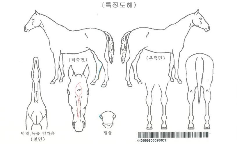 ��Űư���ڸ��� ����,���,�޸�,�λ�,�ٸ��� Ư¡����