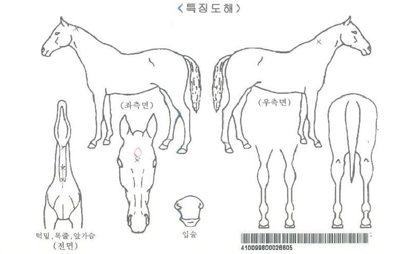 ���������ڸ��� ����,���,�޸�,�λ�,�ٸ��� Ư¡����