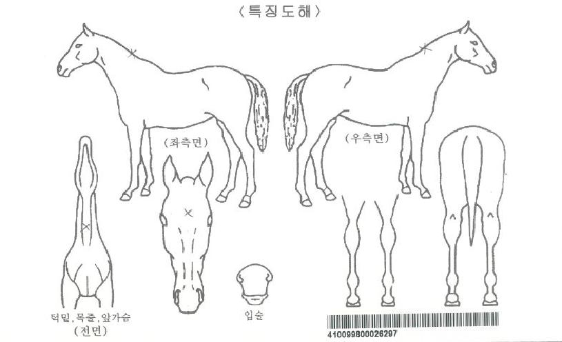 ������Ÿ���ڸ��� ����,���,�޸�,�λ�,�ٸ��� Ư¡����