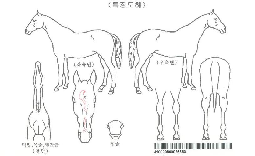 Ŭ·Î¡µôÁîÀÚ¸¶ÀÇ Ãø¸é,¿ì¸é,µÞ¸é,µÎ»ó,´Ù¸®ÀÇ Æ¯Â¡µµÇØ