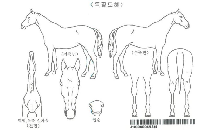 ÇÁ¶ó¿ìµå¿Àºê¸¶ÀÌÀÚ¸¶ÀÇ Ãø¸é,¿ì¸é,µÞ¸é,µÎ»ó,´Ù¸®ÀÇ Æ¯Â¡µµÇØ