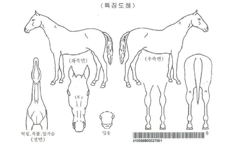 �۷ι��������� ����,���,�޸�,�λ�,�ٸ��� Ư¡����