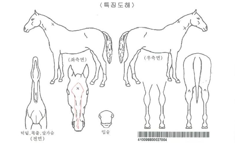 ū�����ڸ��� ����,���,�޸�,�λ�,�ٸ��� Ư¡����