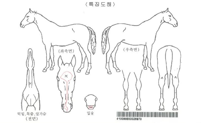 �����̰��ڸ��� ����,���,�޸�,�λ�,�ٸ��� Ư¡����