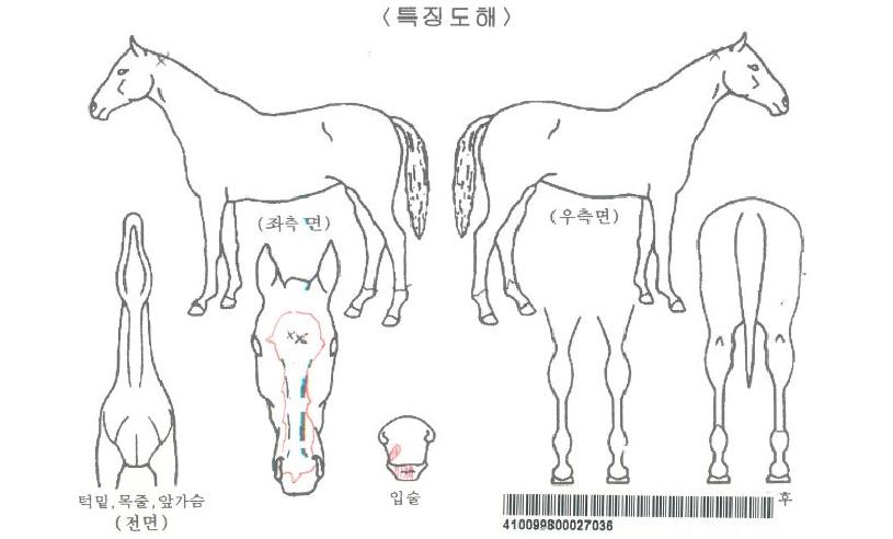 ���������ڸ��� ����,���,�޸�,�λ�,�ٸ��� Ư¡����