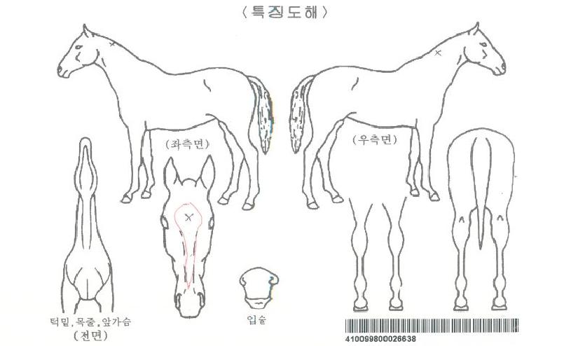 ��Ʈ��Ʈ����ڸ��� ����,���,�޸�,�λ�,�ٸ��� Ư¡����