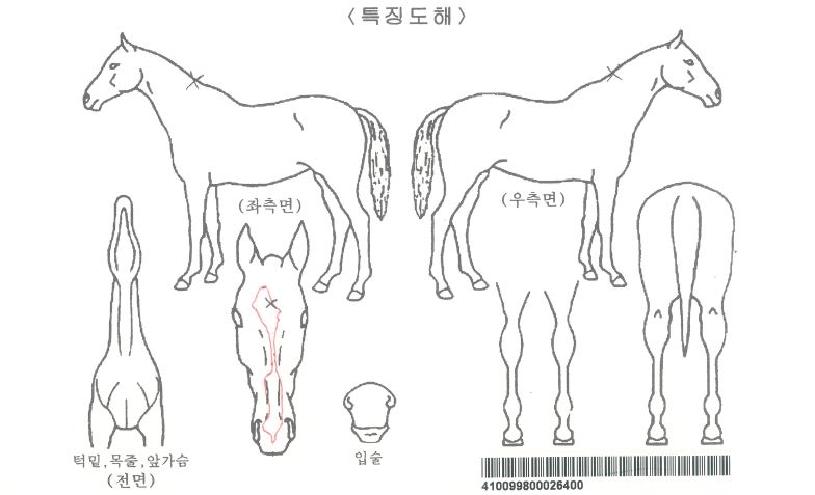 °í½ºÆ®ÇåÅÍÀÇ Ãø¸é,¿ì¸é,µÞ¸é,µÎ»ó,´Ù¸®ÀÇ Æ¯Â¡µµÇØ