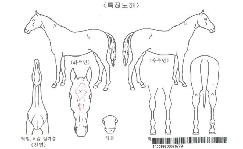 ũ�����Ű�ڸ��� ����,���,�޸�,�λ�,�ٸ��� Ư¡����