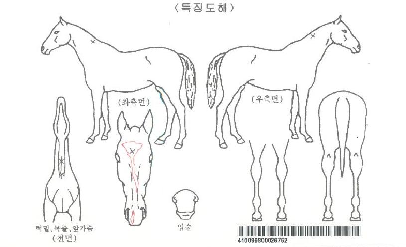 ��������ڸ��� ����,���,�޸�,�λ�,�ٸ��� Ư¡����