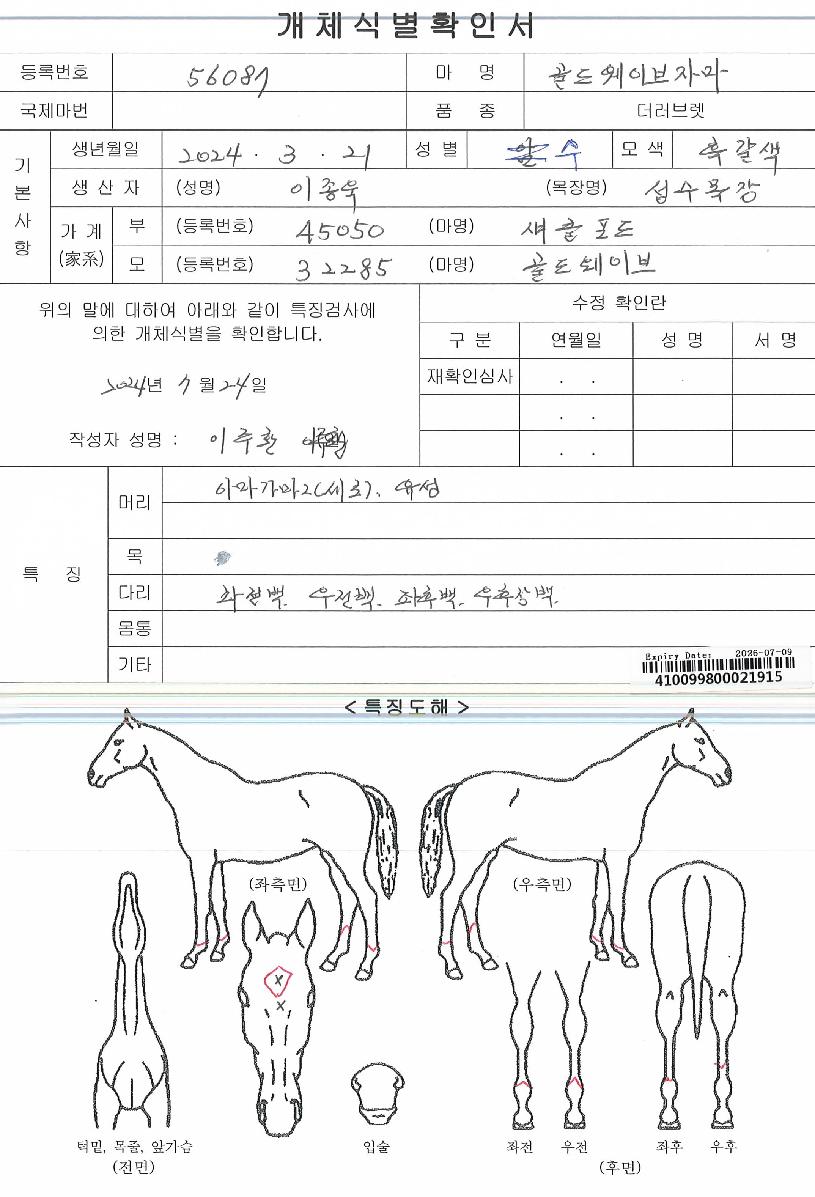 °ñµå¿þÀ̺êÀÚ¸¶ÀÇ Ãø¸é,¿ì¸é,µÞ¸é,µÎ»ó,´Ù¸®ÀÇ Æ¯Â¡µµÇØ