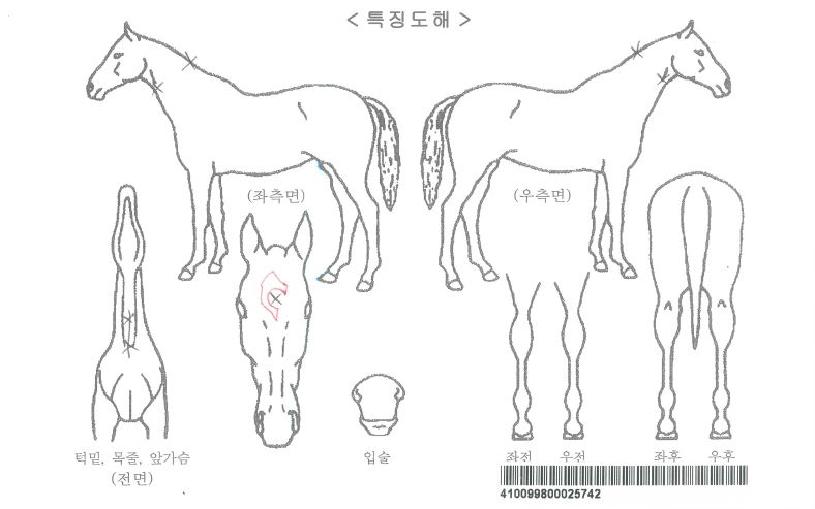 ���̽������ڸ��� ����,���,�޸�,�λ�,�ٸ��� Ư¡����