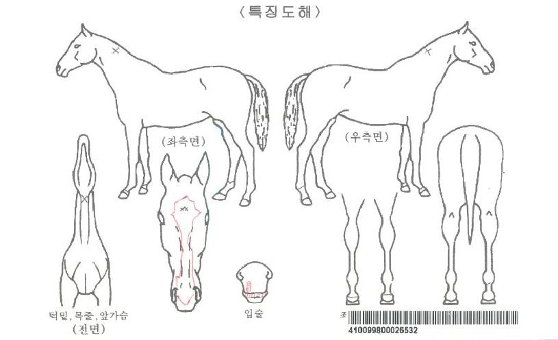 �Ŀ��÷����ڸ��� ����,���,�޸�,�λ�,�ٸ��� Ư¡����