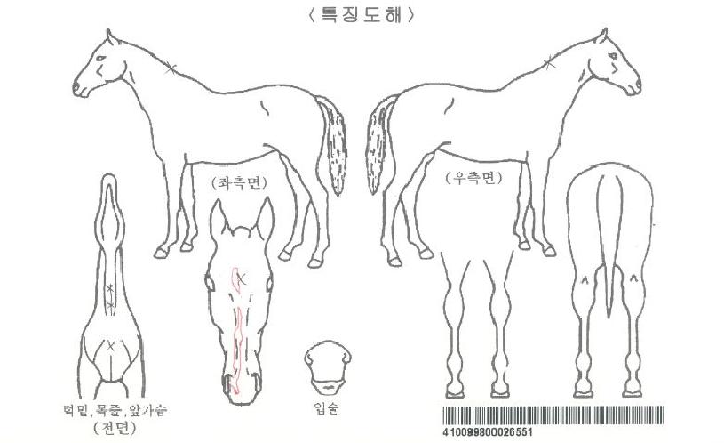 ���己�� ����,���,�޸�,�λ�,�ٸ��� Ư¡����