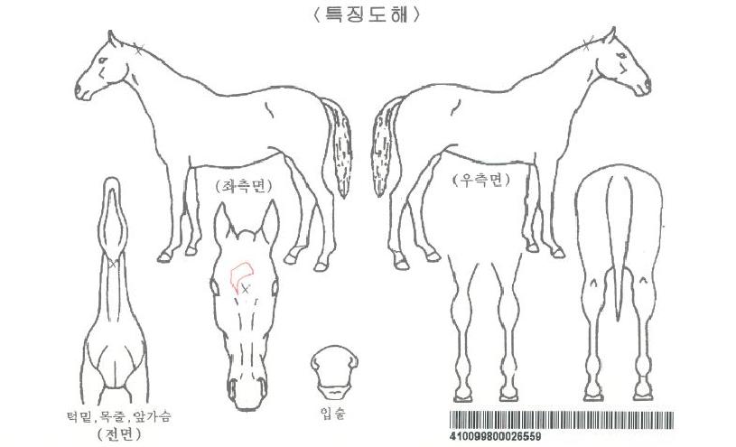 ������ڸ��� ����,���,�޸�,�λ�,�ٸ��� Ư¡����