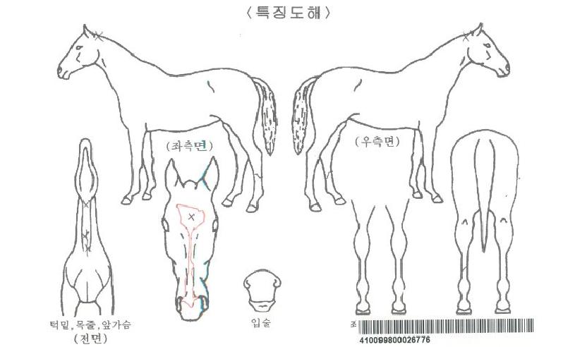 õ�տ����ڸ��� ����,���,�޸�,�λ�,�ٸ��� Ư¡����