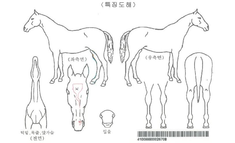 ��ſ��Լ��ڸ��� ����,���,�޸�,�λ�,�ٸ��� Ư¡����