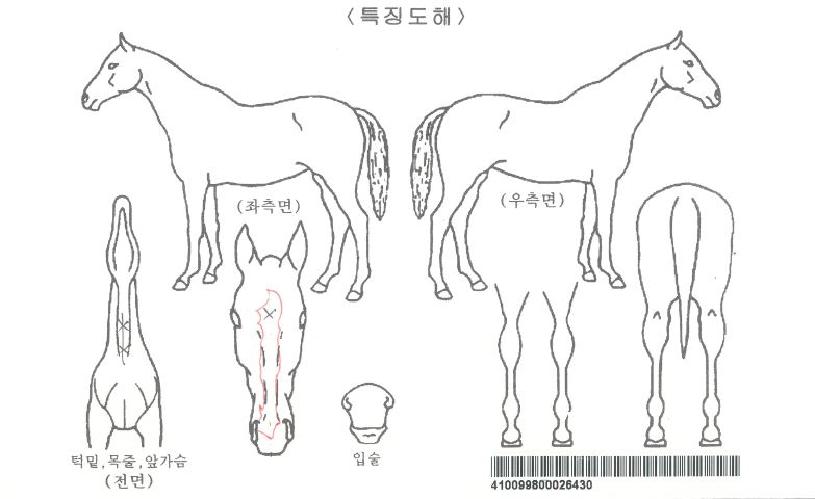 ���������ڸ��� ����,���,�޸�,�λ�,�ٸ��� Ư¡����