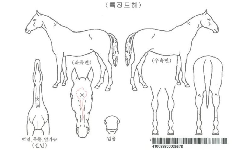 ����ȭ��Ʈ�غ����ڸ��� ����,���,�޸�,�λ�,�ٸ��� Ư¡����