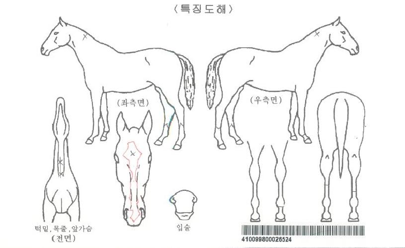 �������ڸ��� ����,���,�޸�,�λ�,�ٸ��� Ư¡����