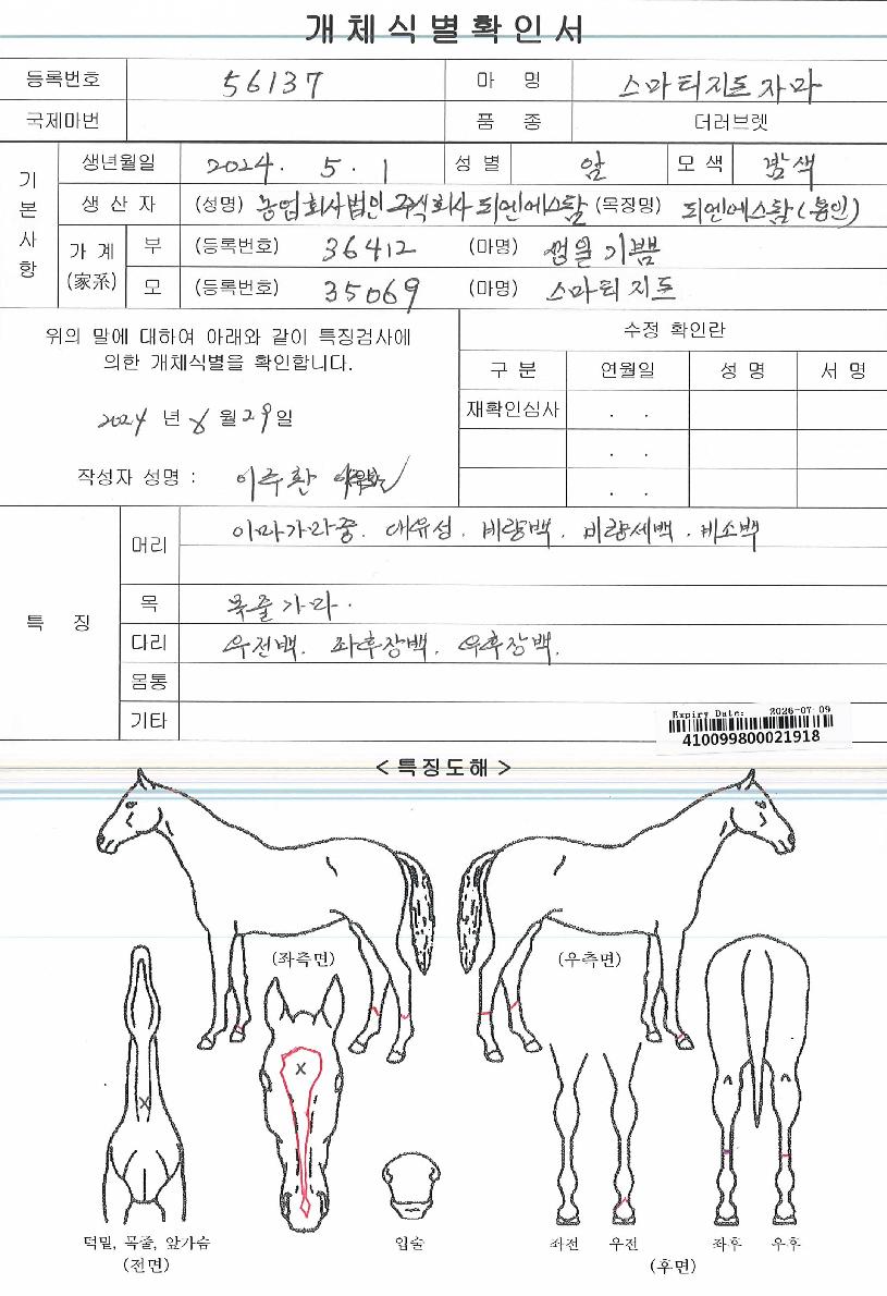 ½º¸¶Æ¼ÁöÇÁÀÚ¸¶ÀÇ Ãø¸é,¿ì¸é,µÞ¸é,µÎ»ó,´Ù¸®ÀÇ Æ¯Â¡µµÇØ