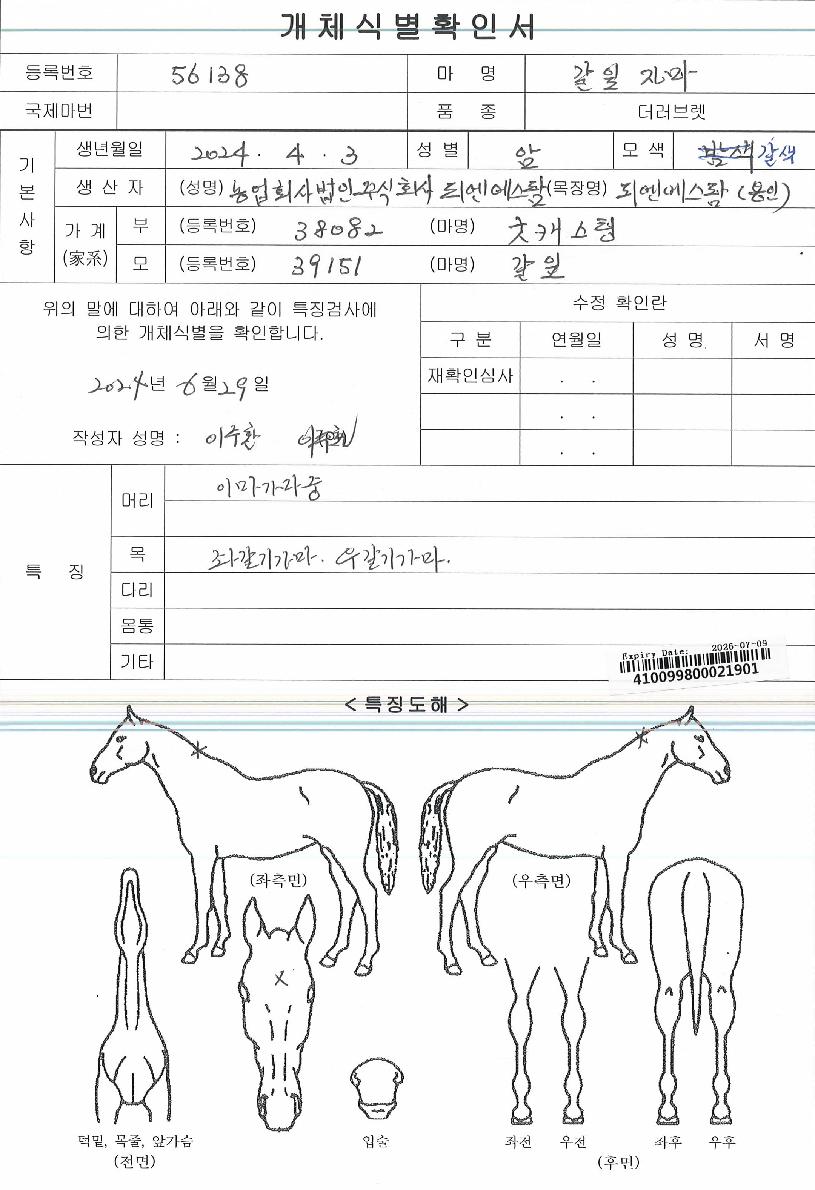 �����ڸ��� ����,���,�޸�,�λ�,�ٸ��� Ư¡����