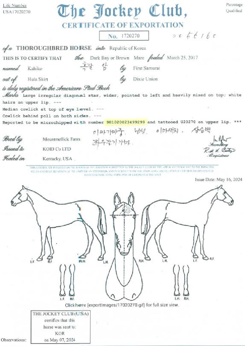 Ä«È÷ÄÚÀÇ Ãø¸é,¿ì¸é,µÞ¸é,µÎ»ó,´Ù¸®ÀÇ Æ¯Â¡µµÇØ