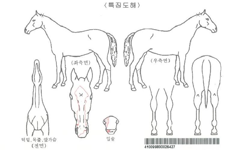 ��������ڸ��� ����,���,�޸�,�λ�,�ٸ��� Ư¡����