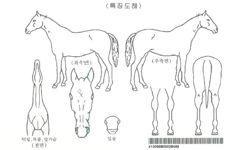 �۽ý��ڸ��� ����,���,�޸�,�λ�,�ٸ��� Ư¡����