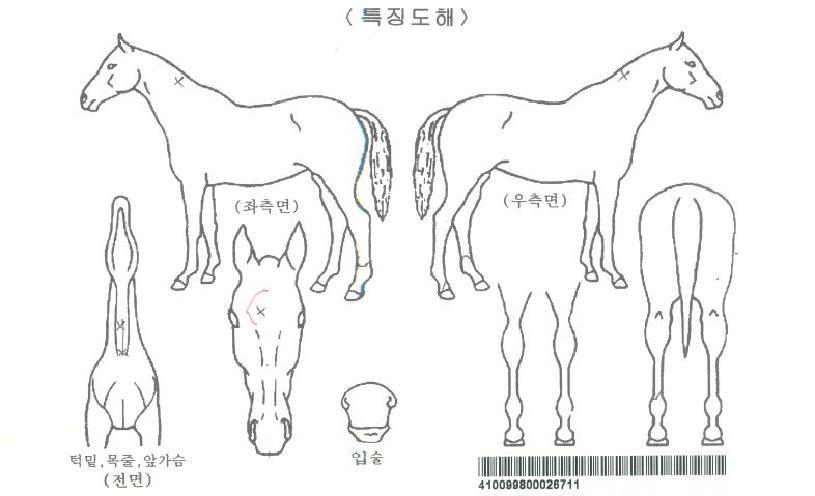 ��������ڸ��� ����,���,�޸�,�λ�,�ٸ��� Ư¡����