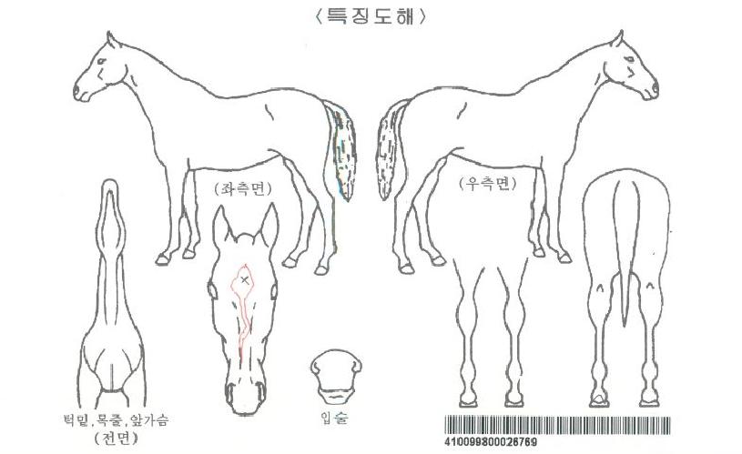 ÀÌ¿ùÀÚ¸¶ÀÇ Ãø¸é,¿ì¸é,µÞ¸é,µÎ»ó,´Ù¸®ÀÇ Æ¯Â¡µµÇØ