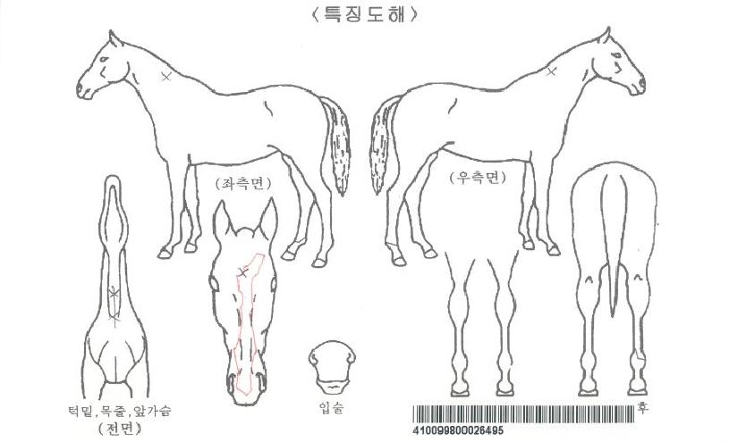 ��ΰ��ڸ��� ����,���,�޸�,�λ�,�ٸ��� Ư¡����