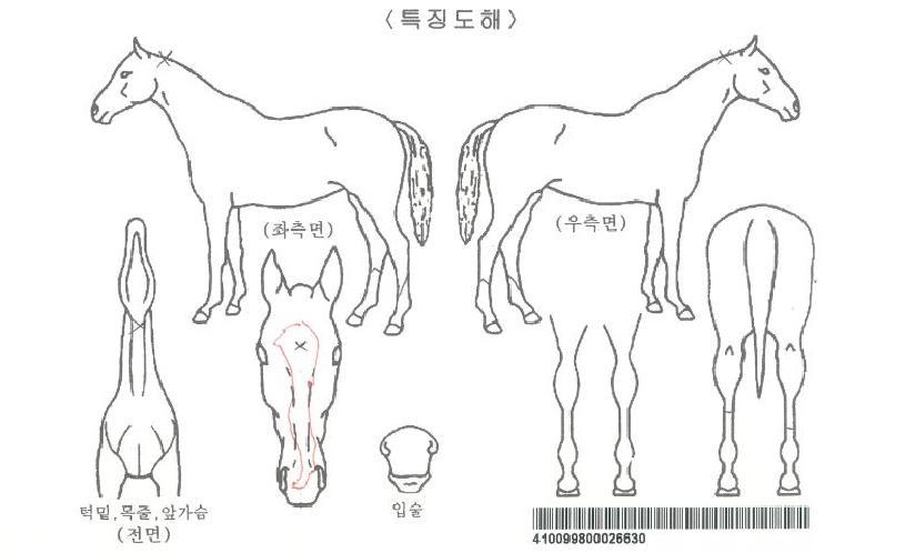 �ö��̿���ڸ��� ����,���,�޸�,�λ�,�ٸ��� Ư¡����