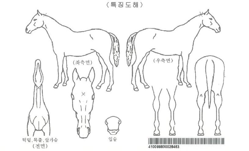 �ڹ����ڸ��� ����,���,�޸�,�λ�,�ٸ��� Ư¡����