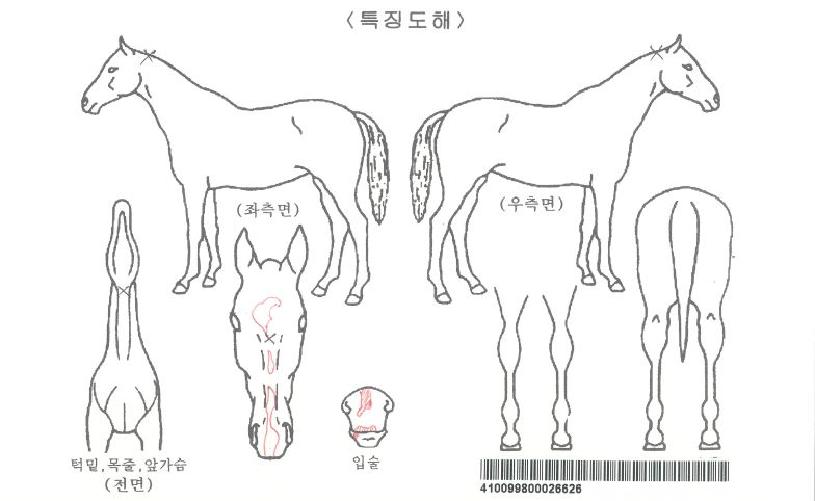 ȭ���Ѻ���ڸ��� ����,���,�޸�,�λ�,�ٸ��� Ư¡����