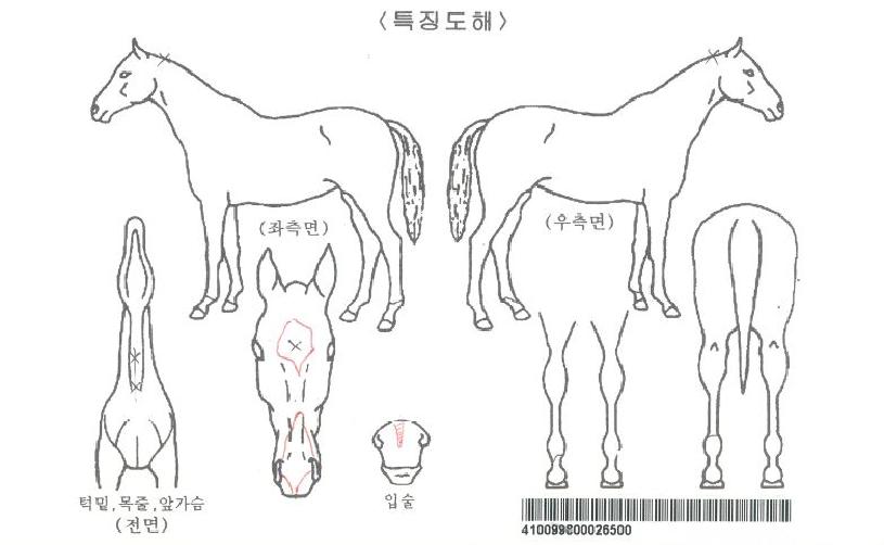 �Ƴ���Ÿ�þ��ڸ��� ����,���,�޸�,�λ�,�ٸ��� Ư¡����