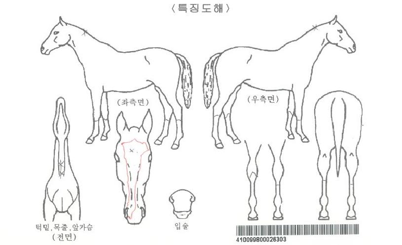 ��Ű�����ڸ��� ����,���,�޸�,�λ�,�ٸ��� Ư¡����