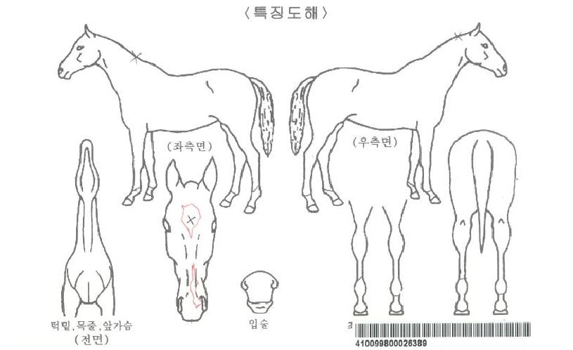 ��׸����� ����,���,�޸�,�λ�,�ٸ��� Ư¡����