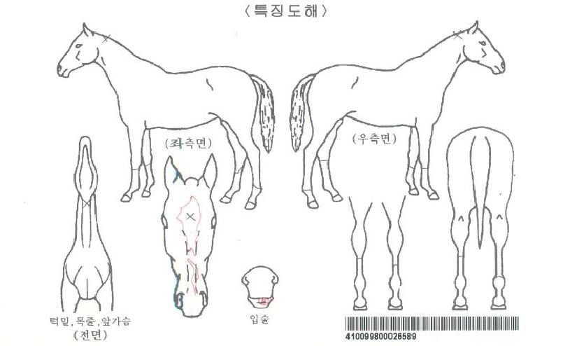 �������� ����,���,�޸�,�λ�,�ٸ��� Ư¡����