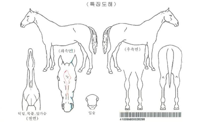 �۸��������ڸ��� ����,���,�޸�,�λ�,�ٸ��� Ư¡����