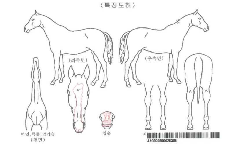 �޴ϱ׷����ڸ��� ����,���,�޸�,�λ�,�ٸ��� Ư¡����