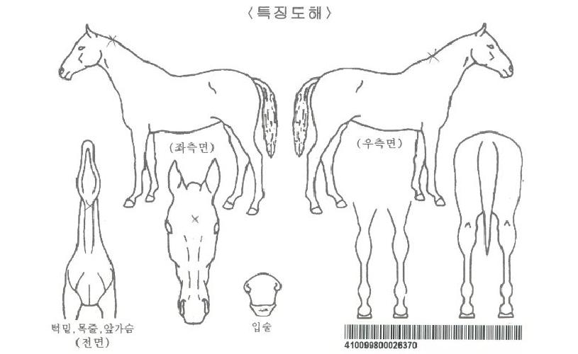 ��Ǵ��ڸ��� ����,���,�޸�,�λ�,�ٸ��� Ư¡����