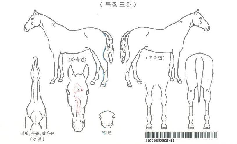 ��õ��ڸ��� ����,���,�޸�,�λ�,�ٸ��� Ư¡����