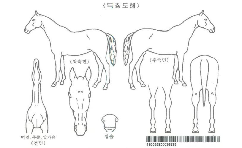 �������� ����,���,�޸�,�λ�,�ٸ��� Ư¡����