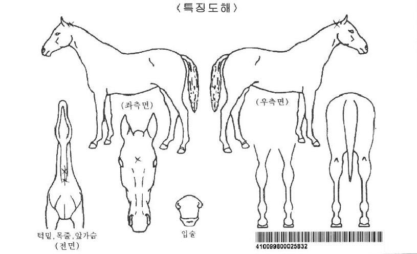 ±×¸®ÀÚÀÌÀÚ¸¶ÀÇ Ãø¸é,¿ì¸é,µÞ¸é,µÎ»ó,´Ù¸®ÀÇ Æ¯Â¡µµÇØ