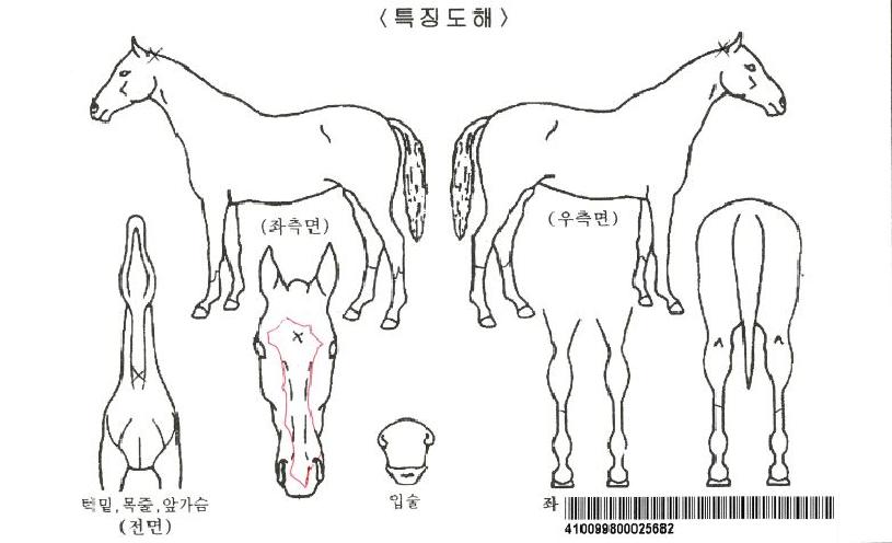 ��Ÿ������ ����,���,�޸�,�λ�,�ٸ��� Ư¡����