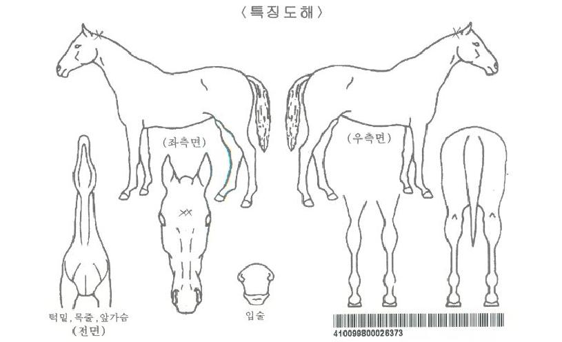 ��������ڸ��� ����,���,�޸�,�λ�,�ٸ��� Ư¡����