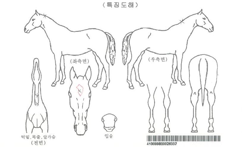 ����̺����ڸ��� ����,���,�޸�,�λ�,�ٸ��� Ư¡����