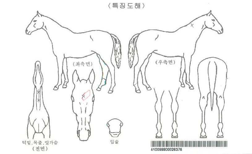 ±×·¹ÀÌÅ躸ÀÌÀÚ¸¶ÀÇ Ãø¸é,¿ì¸é,µÞ¸é,µÎ»ó,´Ù¸®ÀÇ Æ¯Â¡µµÇØ