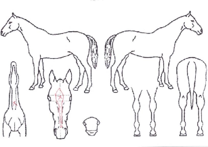 ����Ʈ������ ����,���,�޸�,�λ�,�ٸ��� Ư¡����